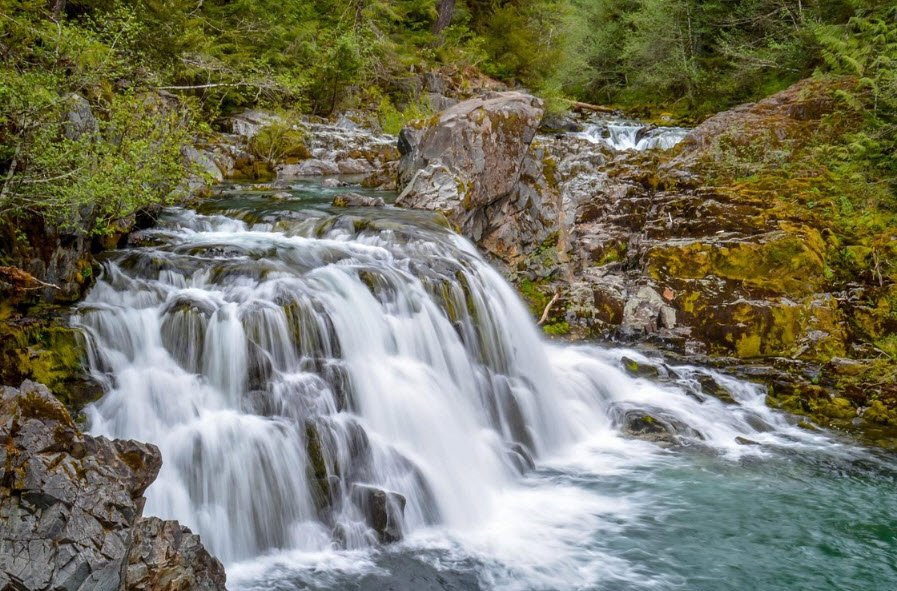 Willamette National Forest, Oregon, USA